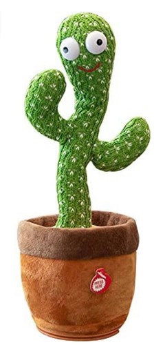 Cactus che balla canta - cactus,